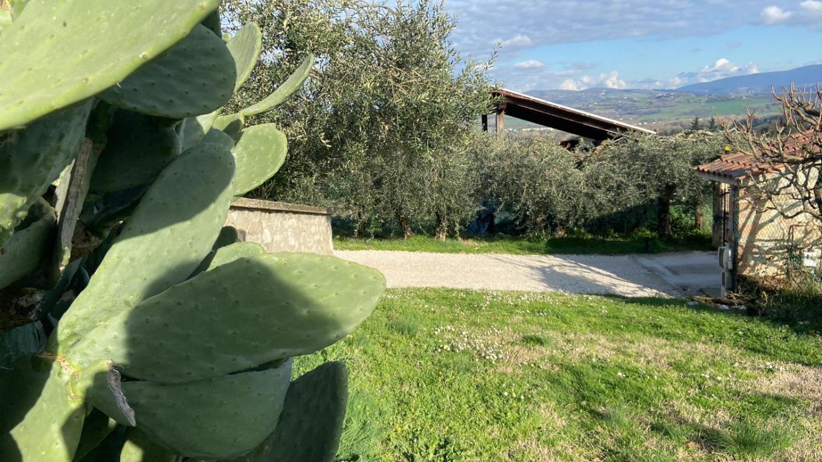 Casa Civico22 Villa Fratta Todina Eksteriør billede